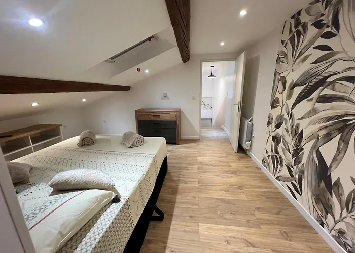 Loft De Luxe Proche A9 ,Gare ,Centre Ville,Commerce