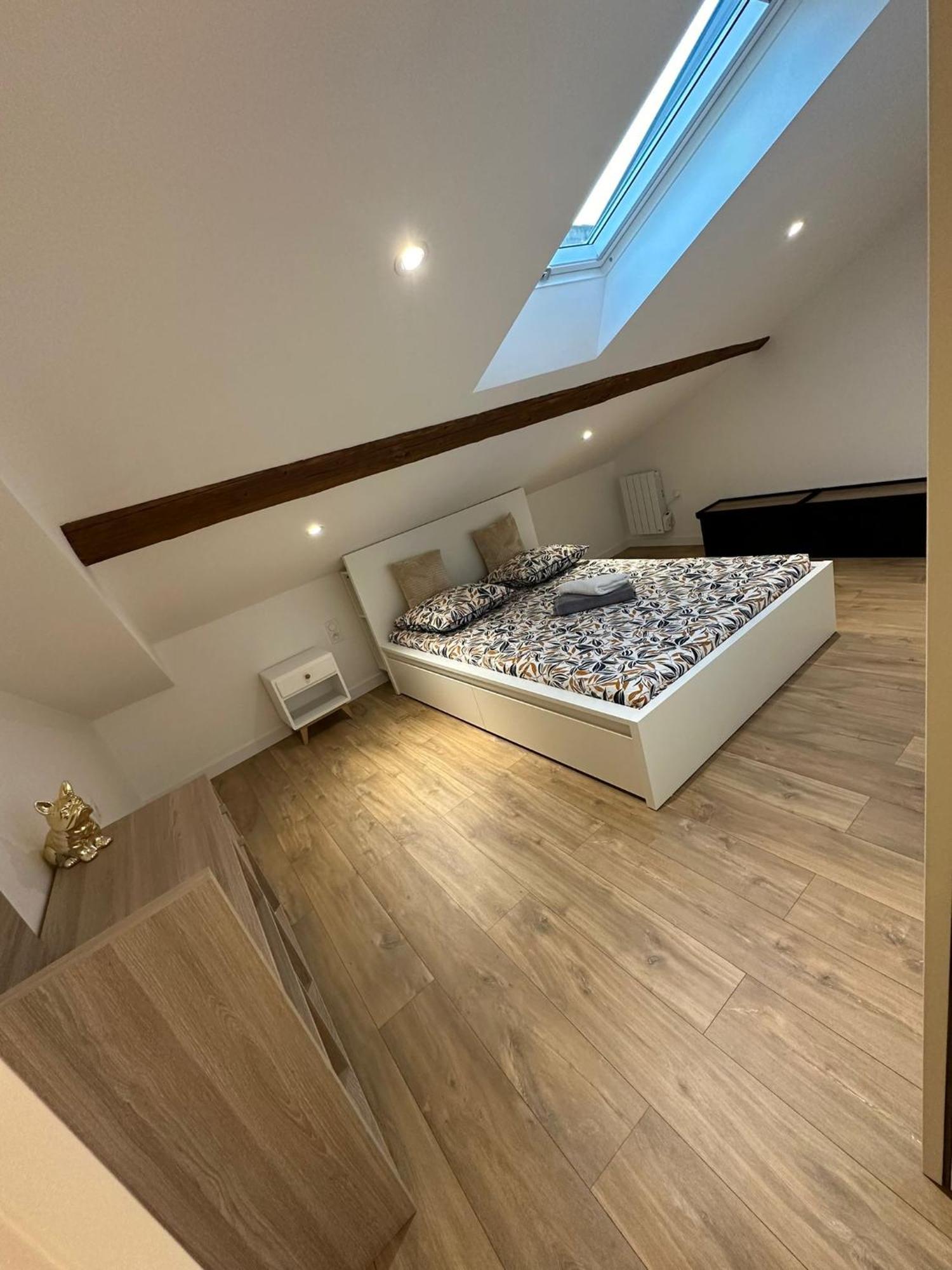 Loft De Luxe Proche A9 ,gare ,centre Ville,commerce Appartement Montpellier