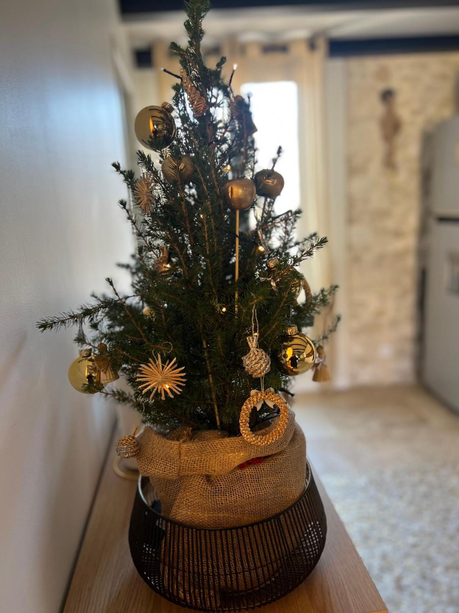 Loft De Luxe Proche A9 ,gare ,centre Ville,commerce * Montpellier
